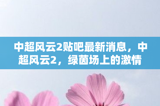 中超风云2贴吧最新消息，中超风云2，绿茵场上的激情与梦想