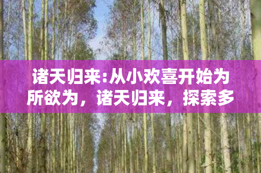 诸天归来:从小欢喜开始为所欲为,诸天归来,探索多元宇宙的无限可能 诸天归来:从小欢喜开始为所欲为,诸天归来,探索多元宇宙的无限可能