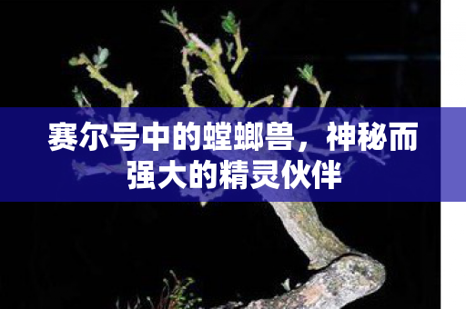 赛尔号中的螳螂兽,神秘而强大的精灵伙伴 赛尔号中的螳螂兽,神秘而强大的精灵伙伴
