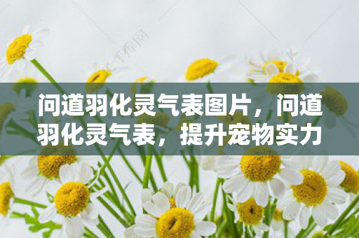 问道羽化灵气表图片，问道羽化灵气表，提升宠物实力的关键指南