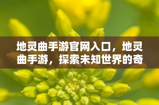 地灵曲手游官网入口,地灵曲手游,探索未知世界的奇幻之旅 地灵曲手游官网入口,地灵曲手游,探索未知世界的奇幻之旅