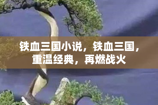 铁血三国小说,铁血三国,重温经典,再燃战火 铁血三国小说,铁血三国,重温经典,再燃战火