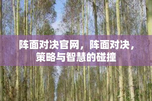 阵面对决官网,阵面对决,策略与智慧的碰撞 阵面对决官网,阵面对决,策略与智慧的碰撞