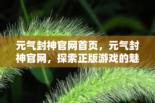 元气封神官网首页,元气封神官网,探索正版游戏的魅力 元气封神官网首页,元气封神官网,探索正版游戏的魅力