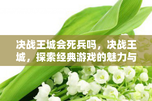 决战王城会死兵吗,决战王城,探索经典游戏的魅力与传奇 决战王城会死兵吗,决战王城,探索经典游戏的魅力与传奇