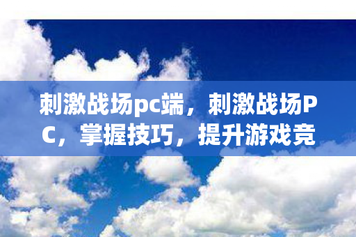 刺激战场pc端，刺激战场PC，掌握技巧，提升游戏竞技水平