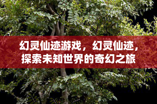 幻灵仙迹游戏，幻灵仙迹，探索未知世界的奇幻之旅