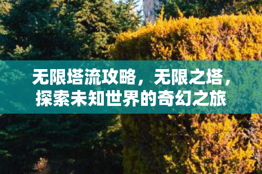无限塔流攻略,无限之塔,探索未知世界的奇幻之旅 无限塔流攻略,无限之塔,探索未知世界的奇幻之旅