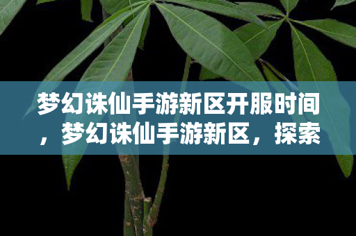 梦幻诛仙手游新区开服时间，梦幻诛仙手游新区，探索全新世界的奇妙之旅