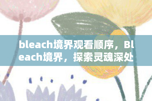 bleach境界观看顺序,Bleach境界,探索灵魂深处的力量 bleach境界观看顺序,Bleach境界,探索灵魂深处的力量