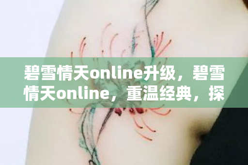碧雪情天online升级,碧雪情天online,重温经典,探索未知 碧雪情天online升级,碧雪情天online,重温经典,探索未知