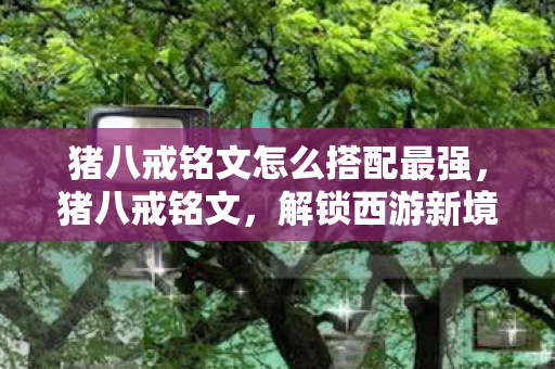 猪八戒铭文怎么搭配最强,猪八戒铭文,解锁西游新境界 猪八戒铭文怎么搭配最强,猪八戒铭文,解锁西游新境界