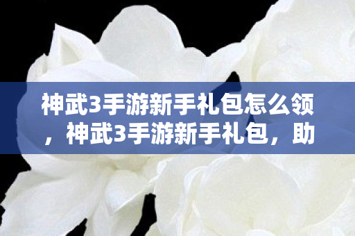 神武3手游新手礼包怎么领,神武3手游新手礼包,助你快速启程的秘籍 神武3手游新手礼包怎么领,神武3手游新手礼包,助你快速启程的秘籍