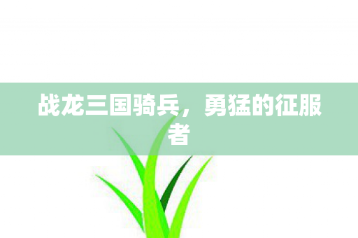 战龙三国骑兵,勇猛的征服者 战龙三国骑兵,勇猛的征服者