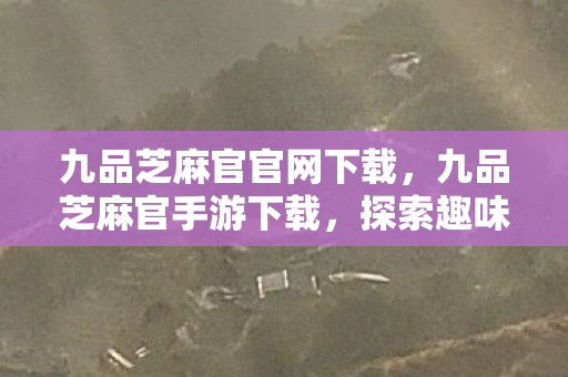 九品芝麻官官网下载，九品芝麻官手游下载，探索趣味横生的古代官场之旅