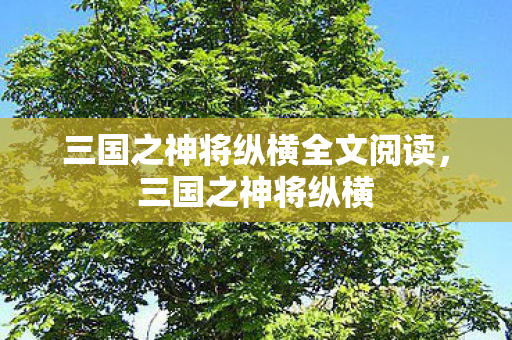 三国之神将纵横全文阅读，三国之神将纵横