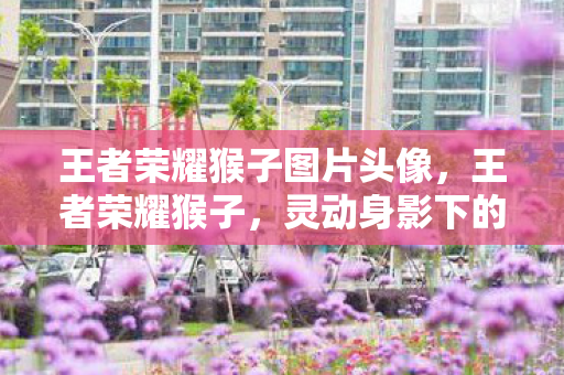 王者荣耀猴子图片头像,王者荣耀猴子,灵动身影下的英雄传奇 王者荣耀猴子图片头像,王者荣耀猴子,灵动身影下的英雄传奇
