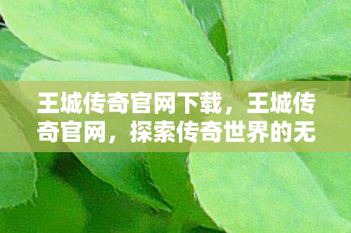 王城传奇官网下载,王城传奇官网,探索传奇世界的无尽魅力 王城传奇官网下载,王城传奇官网,探索传奇世界的无尽魅力