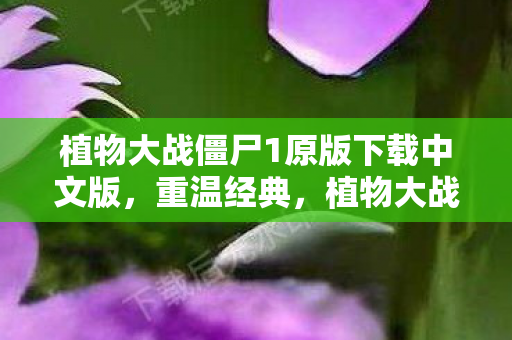 植物大战僵尸1原版下载中文版,重温经典,植物大战僵尸1的无限魅力 植物大战僵尸1原版下载中文版,重温经典,植物大战僵尸1的无限魅力
