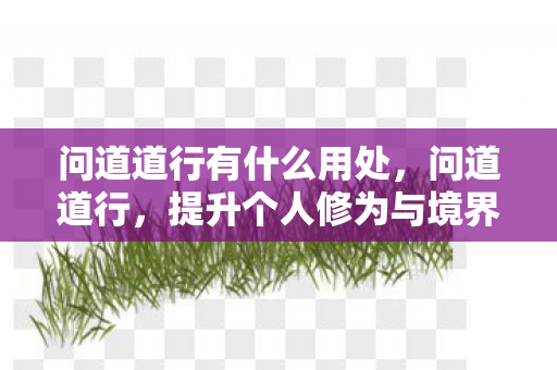 问道道行有什么用处,问道道行,提升个人修为与境界的奥秘 问道道行有什么用处,问道道行,提升个人修为与境界的奥秘