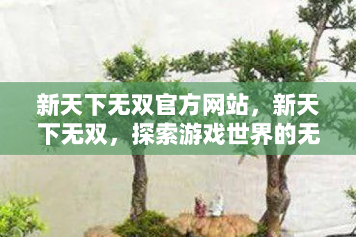 新天下无双官方网站,新天下无双,探索游戏世界的无限可能 新天下无双官方网站,新天下无双,探索游戏世界的无限可能