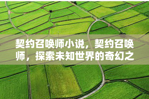 契约召唤师小说，契约召唤师，探索未知世界的奇幻之旅