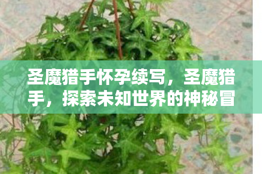圣魔猎手怀孕续写，圣魔猎手，探索未知世界的神秘冒险