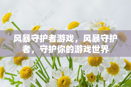 风暴守护者游戏,风暴守护者,守护你的游戏世界 风暴守护者游戏,风暴守护者,守护你的游戏世界