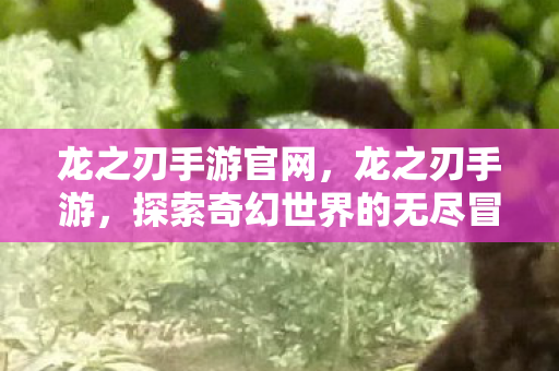 龙之刃手游官网,龙之刃手游,探索奇幻世界的无尽冒险 龙之刃手游官网,龙之刃手游,探索奇幻世界的无尽冒险