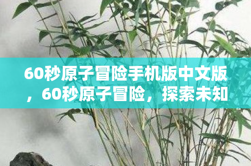 60秒原子冒险手机版中文版，60秒原子冒险，探索未知世界的奇妙旅程