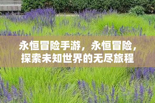 永恒冒险手游，永恒冒险，探索未知世界的无尽旅程