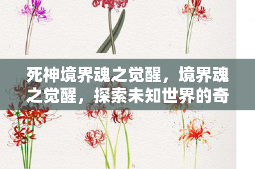 死神境界魂之觉醒，境界魂之觉醒，探索未知世界的奇幻之旅