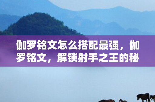 伽罗铭文怎么搭配最强，伽罗铭文，解锁射手之王的秘密