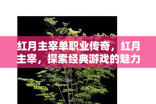 红月主宰单职业传奇,红月主宰,探索经典游戏的魅力与传承 红月主宰单职业传奇,红月主宰,探索经典游戏的魅力与传承