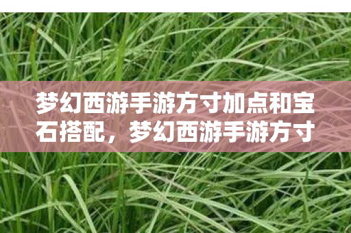 梦幻西游手游方寸加点和宝石搭配，梦幻西游手游方寸加点策略详解