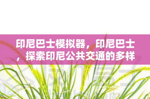 印尼巴士模拟器，印尼巴士，探索印尼公共交通的多样性与挑战