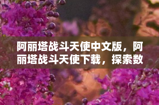 阿丽塔战斗天使中文版，阿丽塔战斗天使下载，探索数字时代的娱乐新体验