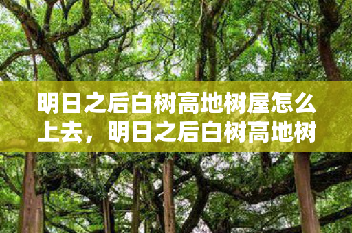 明日之后白树高地树屋怎么上去,明日之后白树高地树屋,探索与生存的完美融合 明日之后白树高地树屋怎么上去,明日之后白树高地树屋,探索与生存的完美融合