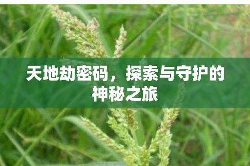天地劫密码,探索与守护的神秘之旅 天地劫密码,探索与守护的神秘之旅