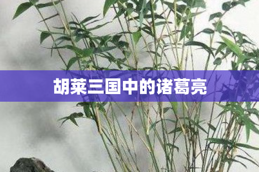 胡莱三国中的诸葛亮 胡莱三国中的诸葛亮