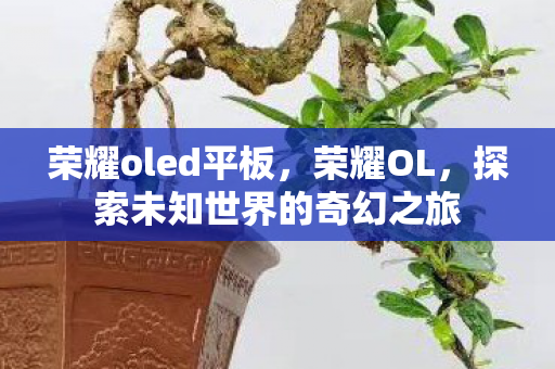 荣耀oled平板,荣耀OL,探索未知世界的奇幻之旅 荣耀oled平板,荣耀OL,探索未知世界的奇幻之旅