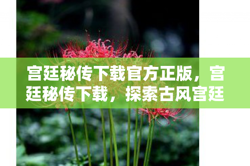 宫廷秘传下载官方正版,宫廷秘传下载,探索古风宫廷世界的便捷途径 宫廷秘传下载官方正版,宫廷秘传下载,探索古风宫廷世界的便捷途径