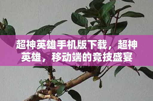 超神英雄手机版下载,超神英雄,移动端的竞技盛宴 超神英雄手机版下载,超神英雄,移动端的竞技盛宴