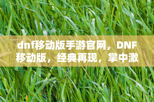 dnf移动版手游官网,DNF移动版,经典再现,掌中激战 dnf移动版手游官网,DNF移动版,经典再现,掌中激战