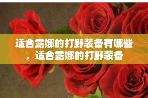 适合露娜的打野装备有哪些,适合露娜的打野装备 适合露娜的打野装备有哪些,适合露娜的打野装备