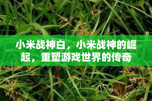 小米战神白,小米战神的崛起,重塑游戏世界的传奇 小米战神白,小米战神的崛起,重塑游戏世界的传奇