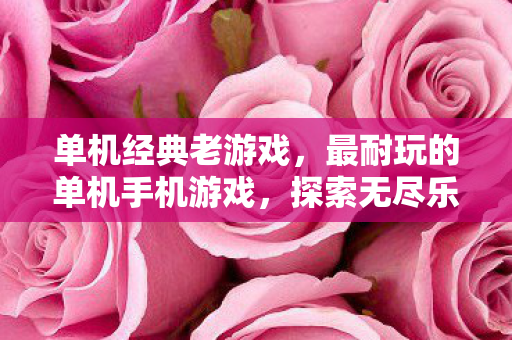 单机经典老游戏,最耐玩的单机手机游戏,探索无尽乐趣的五大推荐 单机经典老游戏,最耐玩的单机手机游戏,探索无尽乐趣的五大推荐