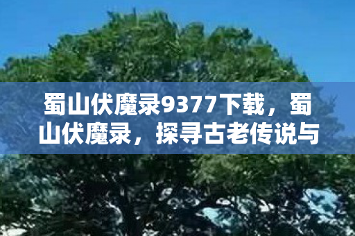 蜀山伏魔录9377下载,蜀山伏魔录,探寻古老传说与神秘力量的交汇 蜀山伏魔录9377下载,蜀山伏魔录,探寻古老传说与神秘力量的交汇