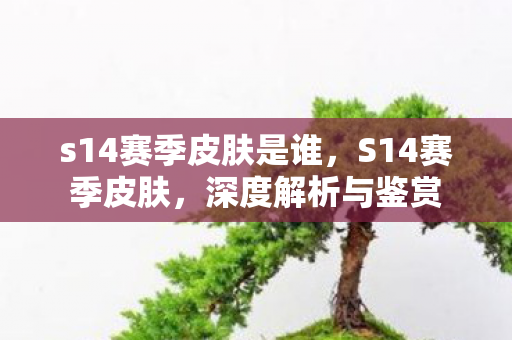 s14赛季皮肤是谁,S14赛季皮肤,深度解析与鉴赏 s14赛季皮肤是谁,S14赛季皮肤,深度解析与鉴赏