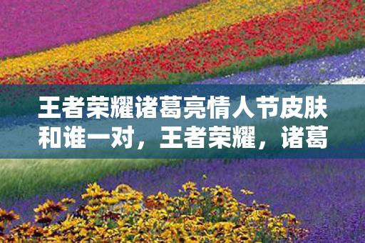 王者荣耀诸葛亮情人节皮肤和谁一对,王者荣耀,诸葛亮情人节皮肤,浪漫与智慧的碰撞 王者荣耀诸葛亮情人节皮肤和谁一对,王者荣耀,诸葛亮情人节皮肤,浪漫与智慧的碰撞